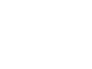 00 Logo 03 Magic Home Group121